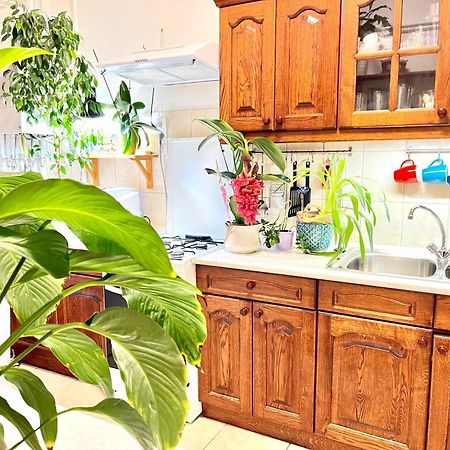 Margaret Bridge Best Spot Apartment Budapest Luaran gambar
