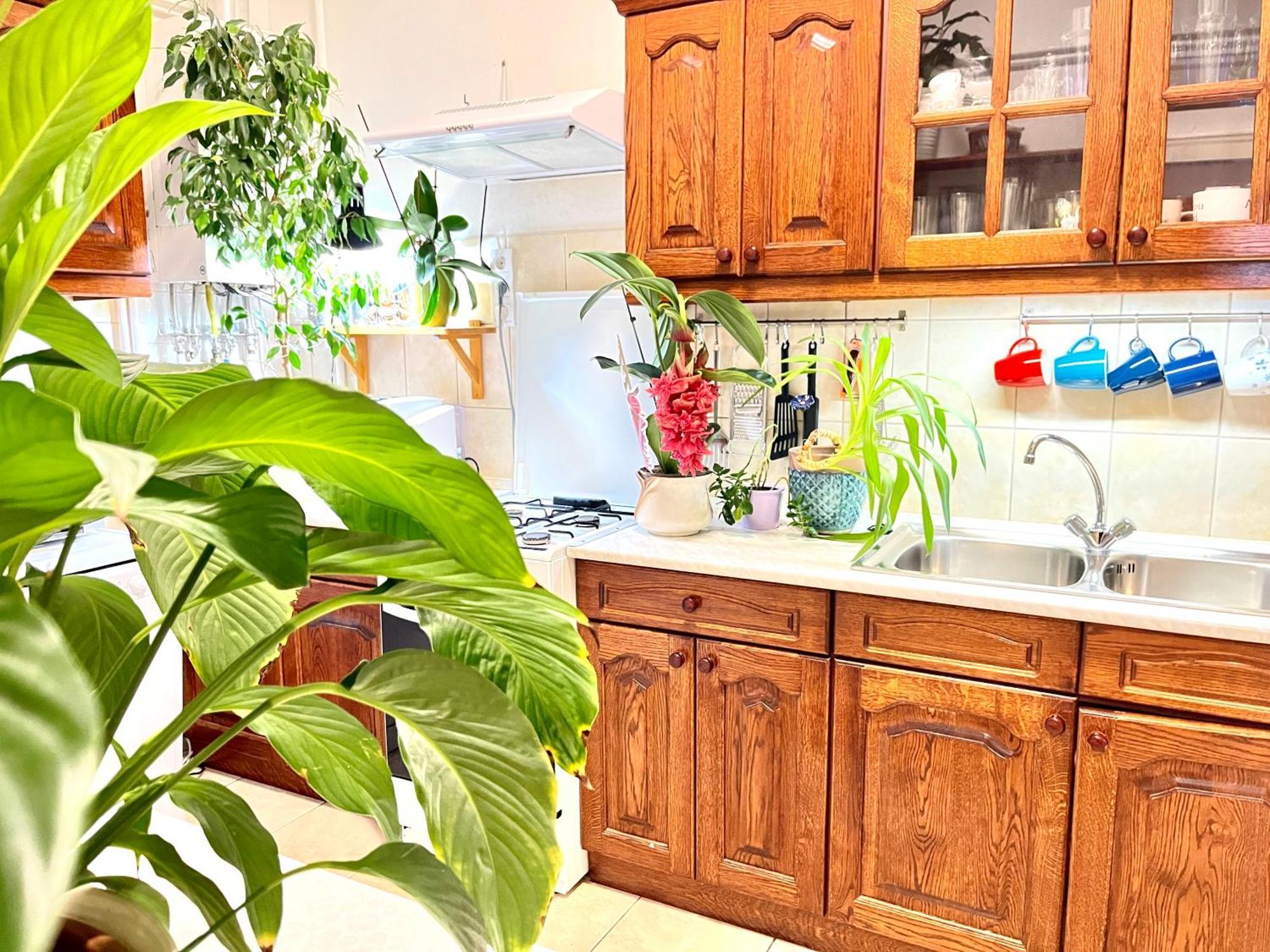 Margaret Bridge Best Spot Apartment Budapest Luaran gambar